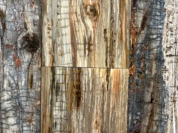 Petrified Wood Plank Flooring Ancient Wonder Meets Aerospace Innovation